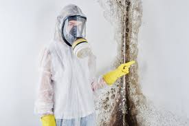 Asbestos and Lead Testing During Mold Inspection in Ocean City, MD